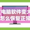(电脑软件变大怎么恢复正常使用)电脑软件界面变大怎么恢复正常