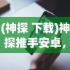 (夜幕游侠啥意思)夜幕者游戏菜单版，深度解析与常见问题解答