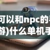 (可以和npc的手游)什么单机手机游戏能与NPC对打？精彩战斗体验一览
