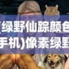 (绿野仙踪颜色手机)像素绿野仙踪手游，探索像素世界的奇幻之旅