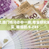 今晚上澳门特马必中一肖,专业研究解释落实_精细款.9.245