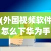 (外国视频软件怎么下华为手)外国视频软件怎么使用，入门指南与常见问题解答