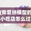 (我爱拼模型的小吃店怎么过)我爱拼模型小吃店攻略大全，从零开始打造理想小吃店