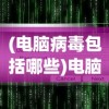 (电脑病毒包括哪些)电脑病毒包，深度解析与应对之策