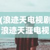 (浪迹天电视剧浪迹天涯电视剧)浪天记最新版，全面解析与常见问题解答