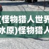 (怪物猎人世界冰原)怪物猎人世界，深入探索与常见问答解析