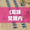 (龙珠觉醒内购版2024最新版本更新)龙珠觉醒内购版，深度解析与探讨