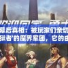(我叫mt平民橙卡阵容2021)关于我叫MT平民橙卡顺序的详解