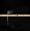 (弹幕枪王武器选择真实伤害)弹幕枪王：武器共振之道探秘与技巧分享