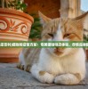 (猫咖啡店百科)猫咖啡店官方版：专属猫咖啡店体验，尽情品味猫的魅力
