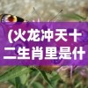 (火龙冲天十二生肖里是什么生肖呢)火龙冲天，揭秘十二生肖中的神秘生肖