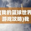 (我的篮球世界游戏攻略)我的篮球世界游戏，探索篮球魅力的独特乐园