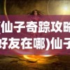 (仙子奇踪攻略好友在哪)仙子奇踪攻略，探索神秘世界的全方位指南
