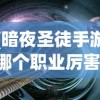 (暗夜圣徒手游哪个职业厉害)暗夜圣徒手游，探索神秘世界的奇幻之旅