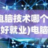 (电脑技术哪个专业好就业)电脑技术哪个专业好，深度分析与多元视角
