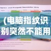 (电脑指纹识别突然不能用了怎么开机)电脑指纹识别突然失效，原因分析与解决方案