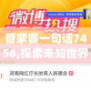 管家婆必开一肖一码管家婆,未来趋势解释落实_Console.5.463