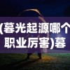 (暮光起源哪个职业厉害)暮光起源手游哪个职业好玩？深度解析与常见问答