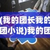 (我的团长我的团小说)我的团长我的团，深度解读与常见问题解答