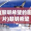 (黎明希望的图片)黎明希望，照亮未来的光辉句子