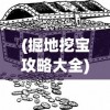 (掘地挖宝攻略大全)掘地挖宝攻略大全，探索未知的宝藏世界