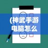 (神武手游电脑怎么上不去)解决神武手游电脑版黑屏问题的策略与指南