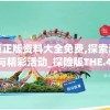 澳门金牛版正版资料大全免费,探索澳门的无限魅力与精彩活动_探险版THE.4.297