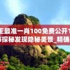 王中王最准一肖100免费公开198期,城市探秘发现隐秘美景_精确款.3.393