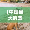 (中国最大的宠物基地)全国最大宠物基地，引领宠物产业新潮流