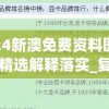 2024新澳免费资料图片,最佳精选解释落实_复刻制.0.263