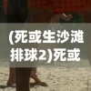(死或生沙滩排球2)死或生沙滩排球PC版，游戏解析与常见问题解答