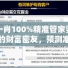 管家婆精准一肖一码100%：专业预测，精准命中，让您轻松赢取财富！