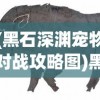 (黑石深渊宠物对战攻略图)黑石深渊宠物对战攻略大全