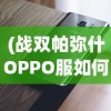 (战双帕弥什OPPO服如何非手机登录)战双帕弥什OPPO服，游戏特色与玩家体验解析