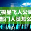 (极品飞人公司部门人员怎么搭配)极品飞人之总裁降临，企业巅峰的挑战与机遇