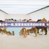 揭秘澳门天天彩期期精准管家婆的成功秘诀和独特策略