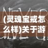 (灵魂宝戒怎么样)关于游戏灵魂宝戒是否下架还是继续运营的探讨