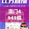 澳门4949精准免费大全管家婆,探索未来科技的无限可能_典范版.1.472