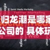 (归龙潮是哪家公司的 具体玩法介绍)归龙潮背后的公司，揭秘与探索