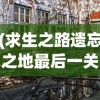 (大燕王妃手游攻略大全)大燕王妃手游攻略大全及常见问题解答