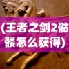 (王者之剑2骷髅怎么获得)王者之剑2骷髅，深入解析游戏特色与挑战