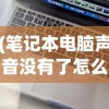 (笔记本电脑声音没有了怎么恢复)笔记本电脑声音消失了，原因、解决方法及常见问答