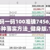 澳门一码一码100准确7456,系统分析各种落实方法_健身版.1.29