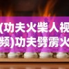 (功夫火柴人视频)功夫劈雳火柴人游戏，热血战斗与策略的挑战