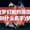 (梦幻契约现在叫什么名字)梦幻契约现在叫什么，游戏更名与新生解析