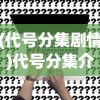 (代号分集剧情)代号分集介绍，深度解析与常见问题解答