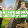 2024澳门天天开好彩免费管家婆：全方位解读最准确的预测和管理技巧