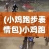 (小鸡跑步表情包)小鸡跑步，探索背后的奥秘与挑战