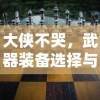大侠不哭，武器装备选择与策略分析