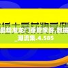 澳门最精准正最精准龙门蚕管家婆,数据解答解释落实_潮流集.4.585